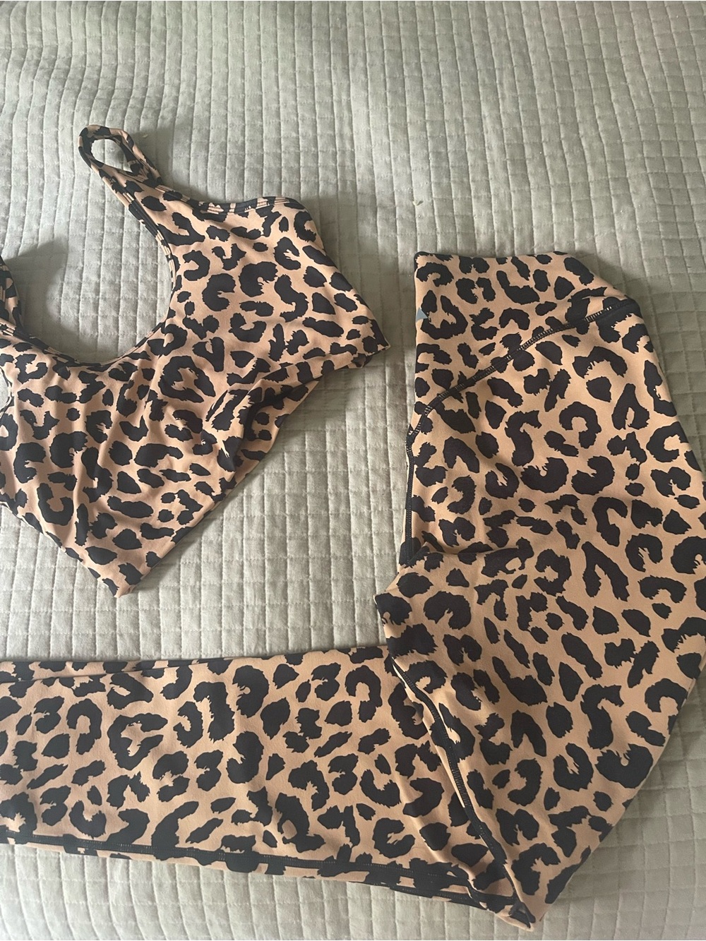 Balance Athletica Animal Kingdom pants and bra set